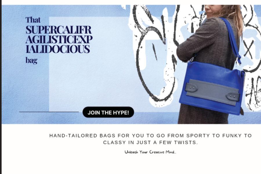 Retail storefront: designer bags and accessories
